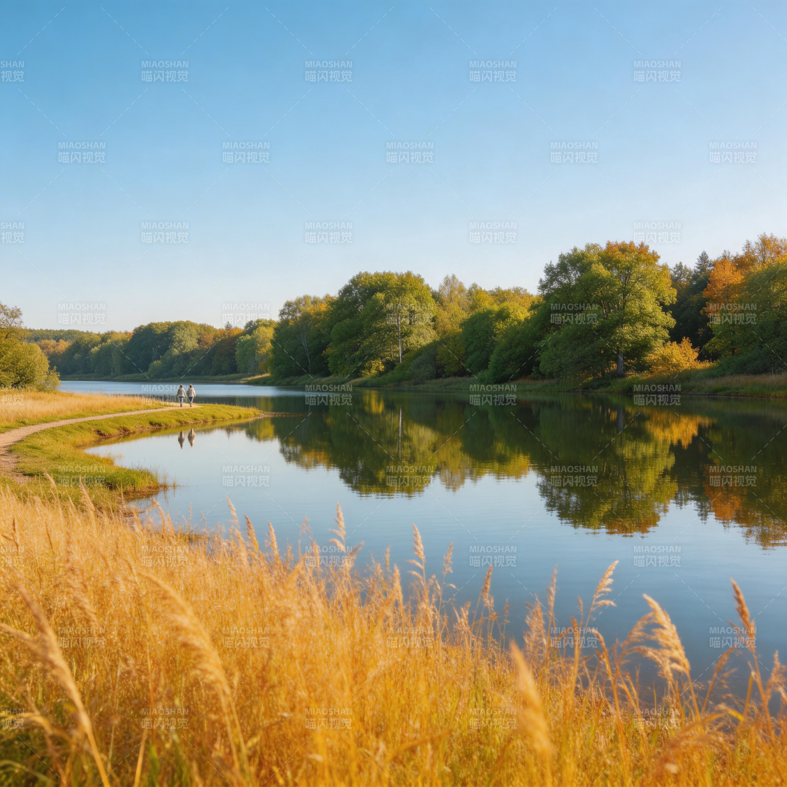 秋日湖光 金草映水静美图片