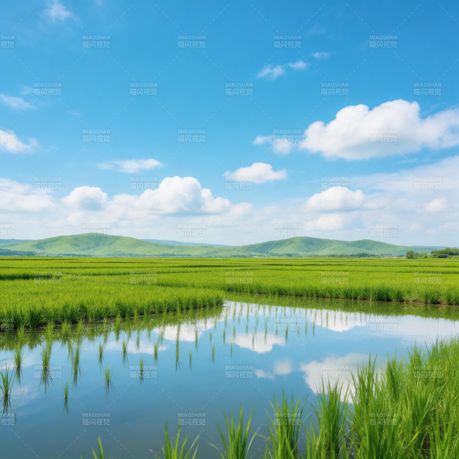 碧水映蓝天 绿野连远山图片