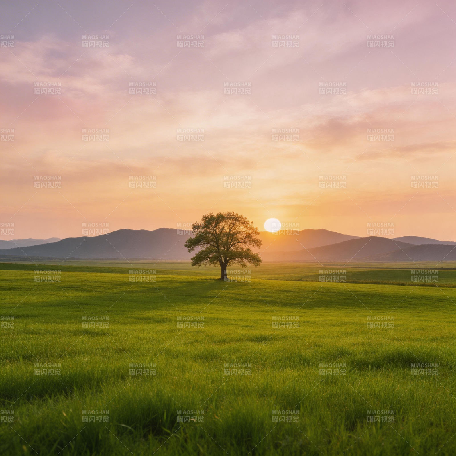 夕阳孤树绿野远山图片