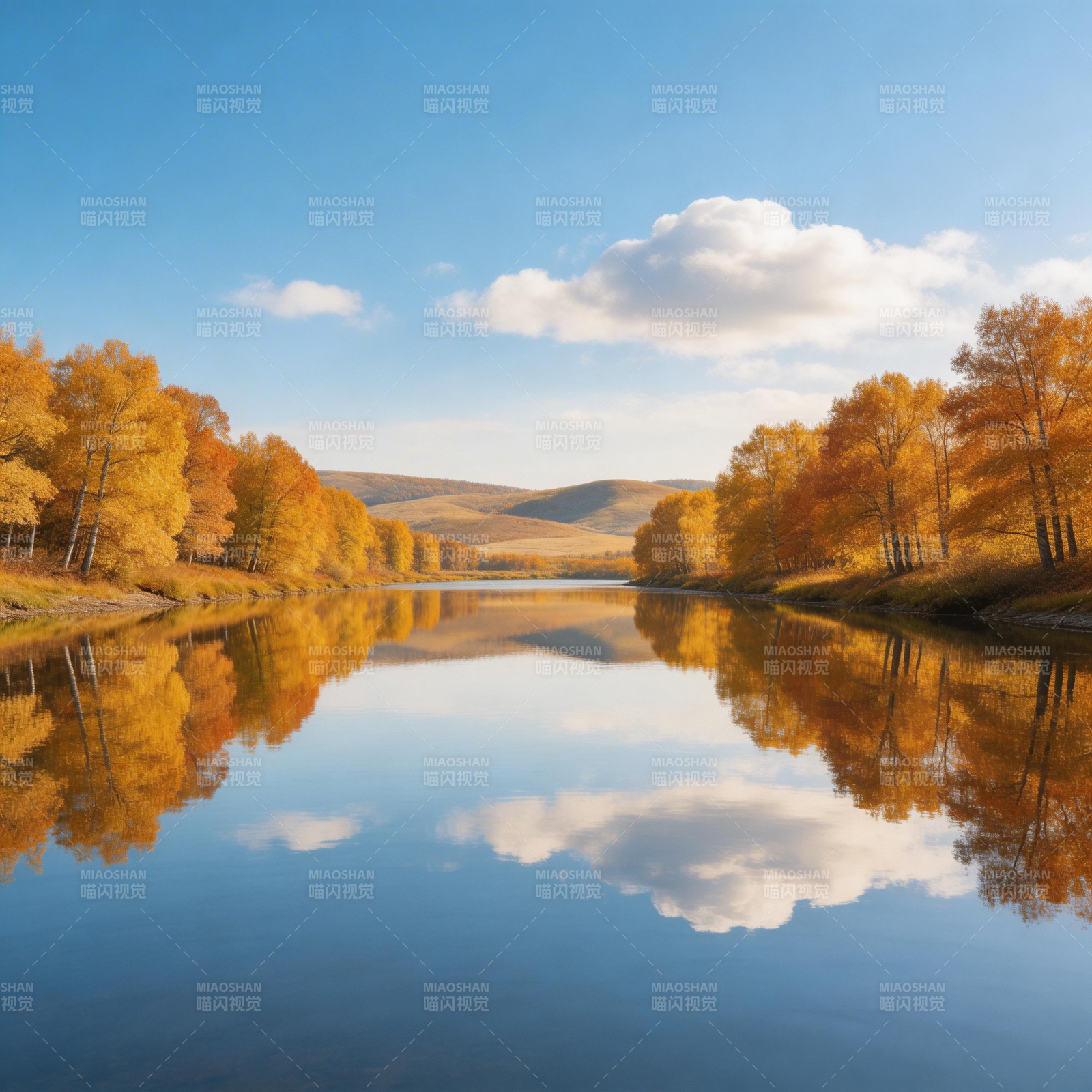 秋湖映金林 云影共天光图片