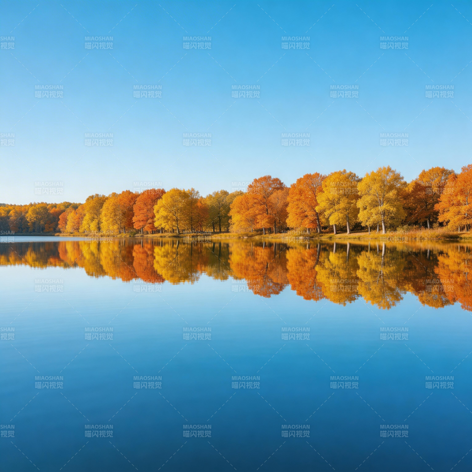 秋湖映彩林 静美如画卷图片