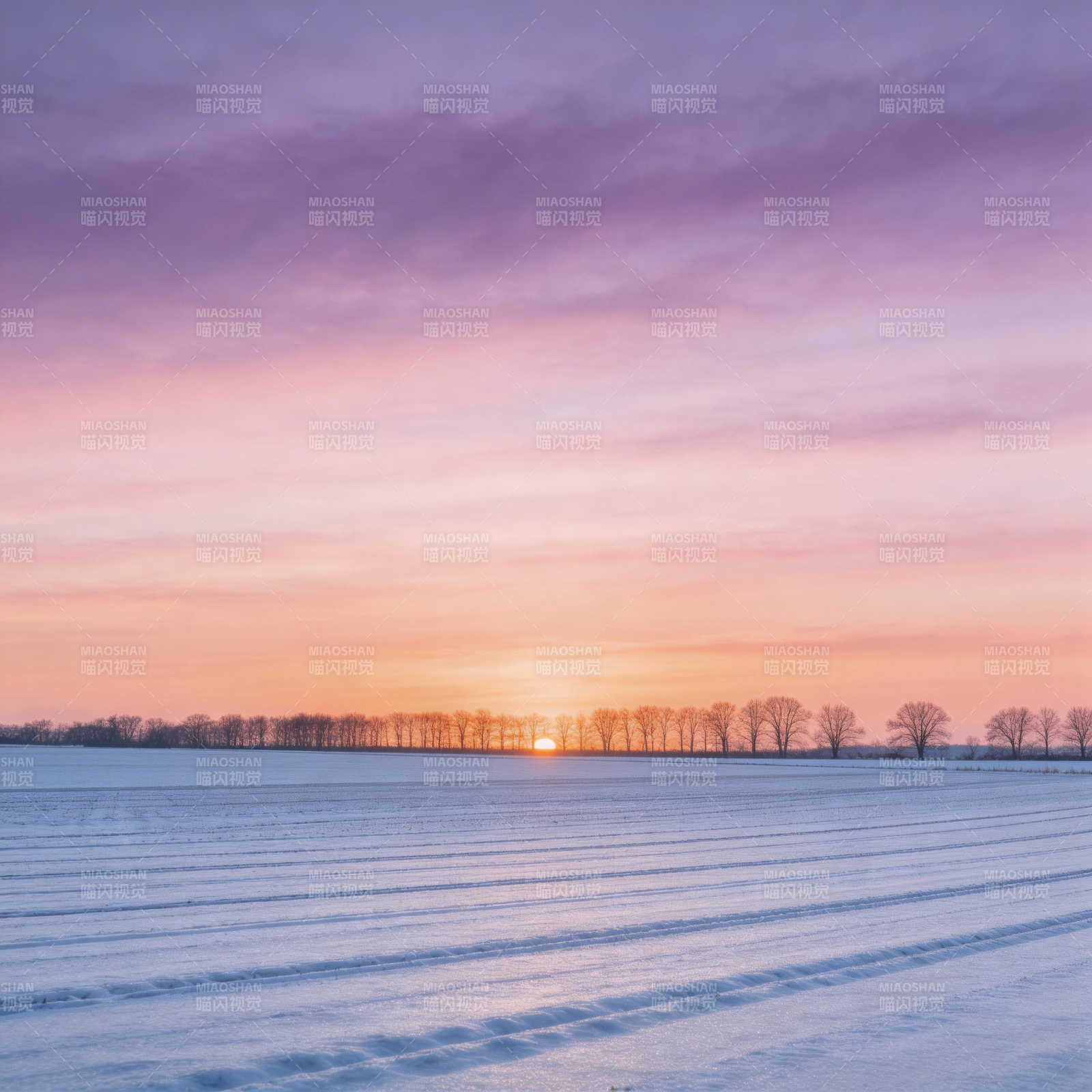 雪原日落 紫霞映寒野图片