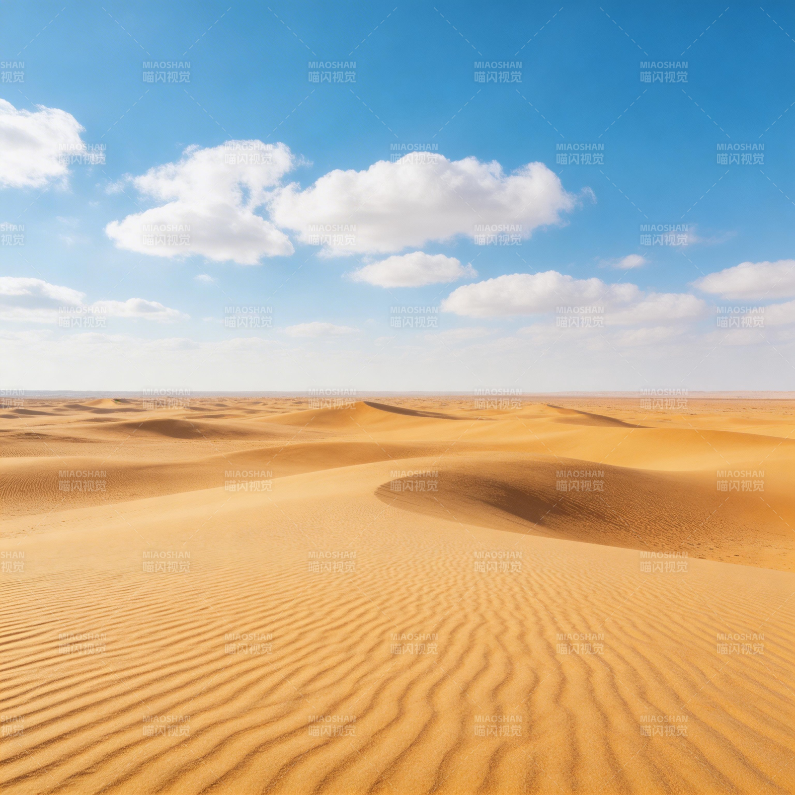 沙漠金浪 蓝天白云间图片