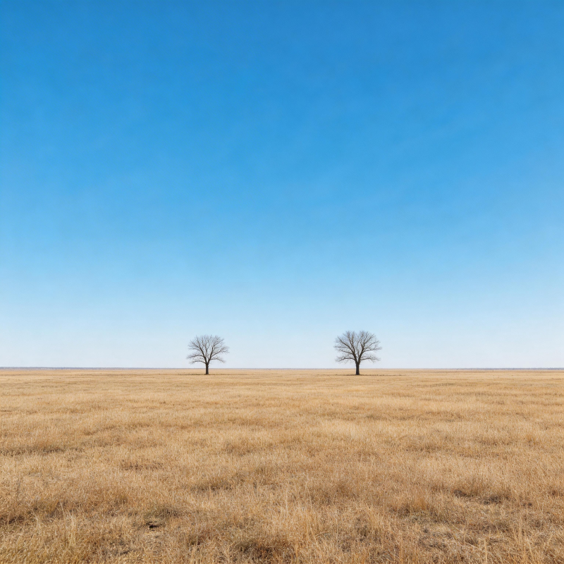 旷野双树 蓝天无垠图片