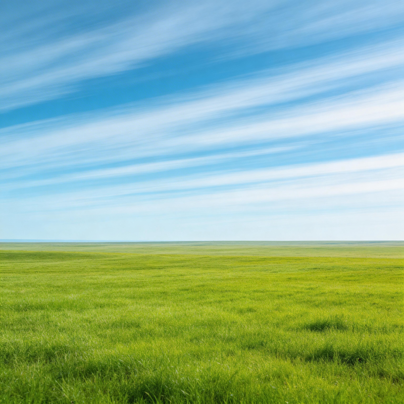 碧空如洗 绿野无垠图片