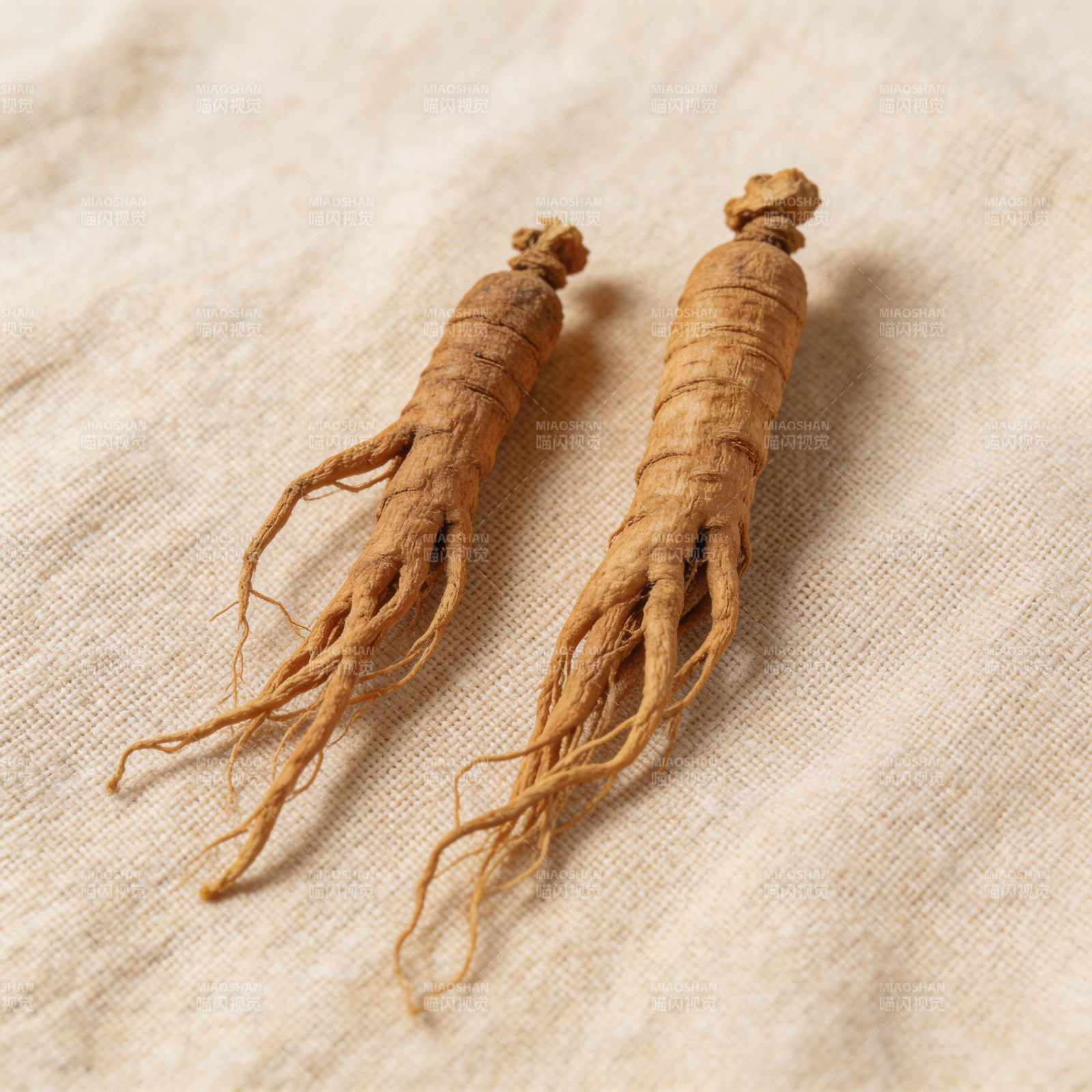 两根人参静置麻布上图片