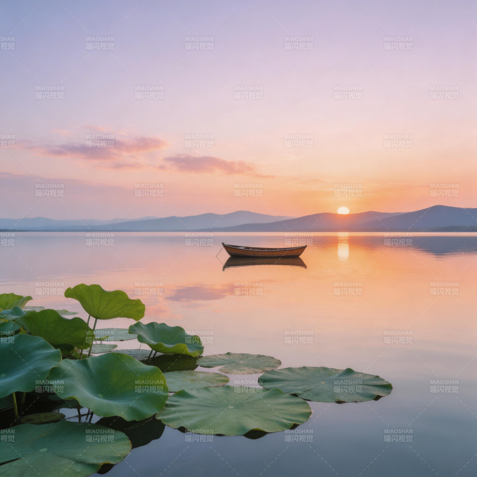夕阳荷塘 孤舟静泊图片