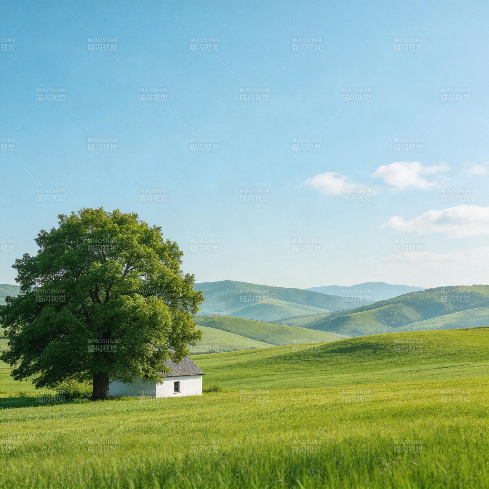 绿野孤屋 树影青山间图片