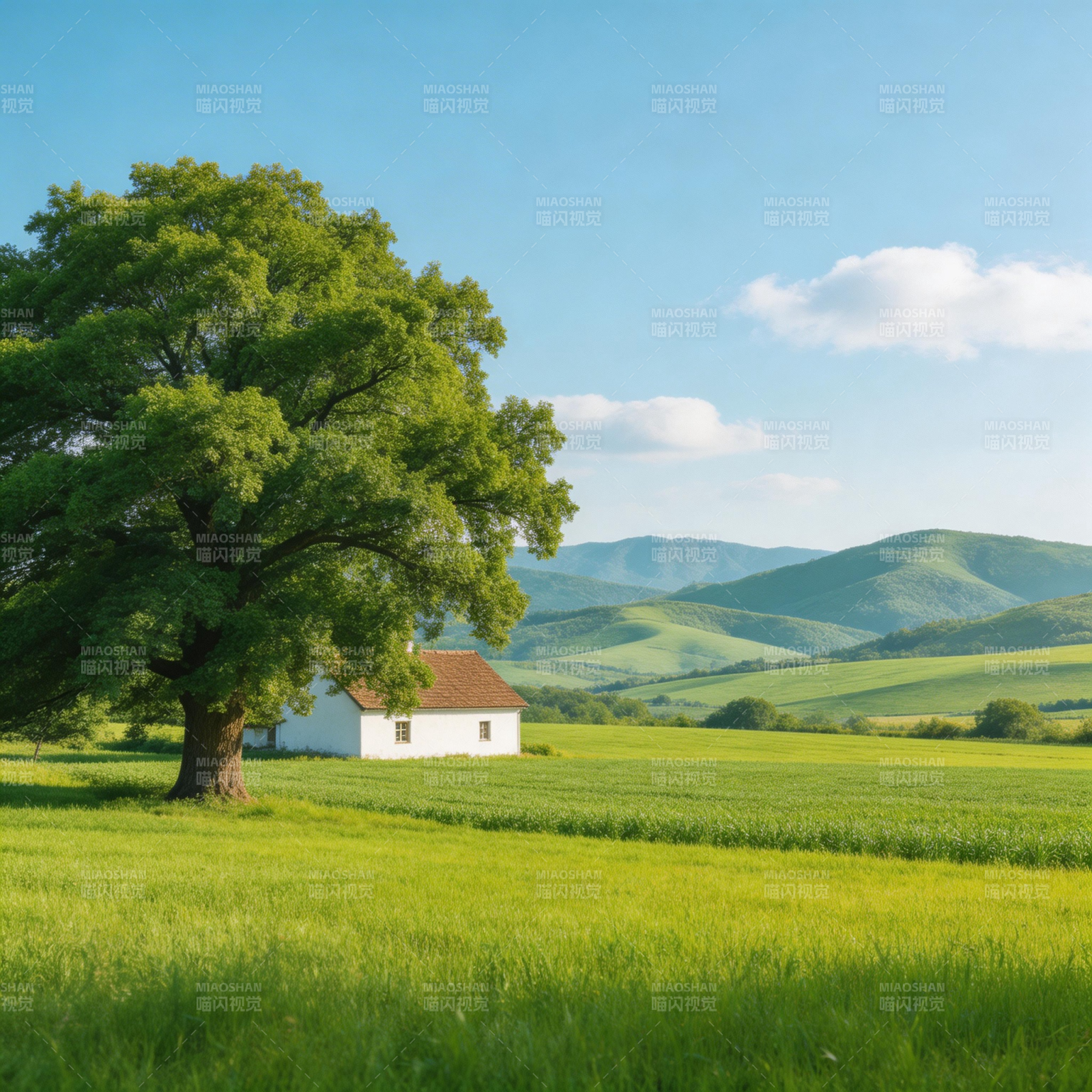 绿野孤屋 远山如黛图片