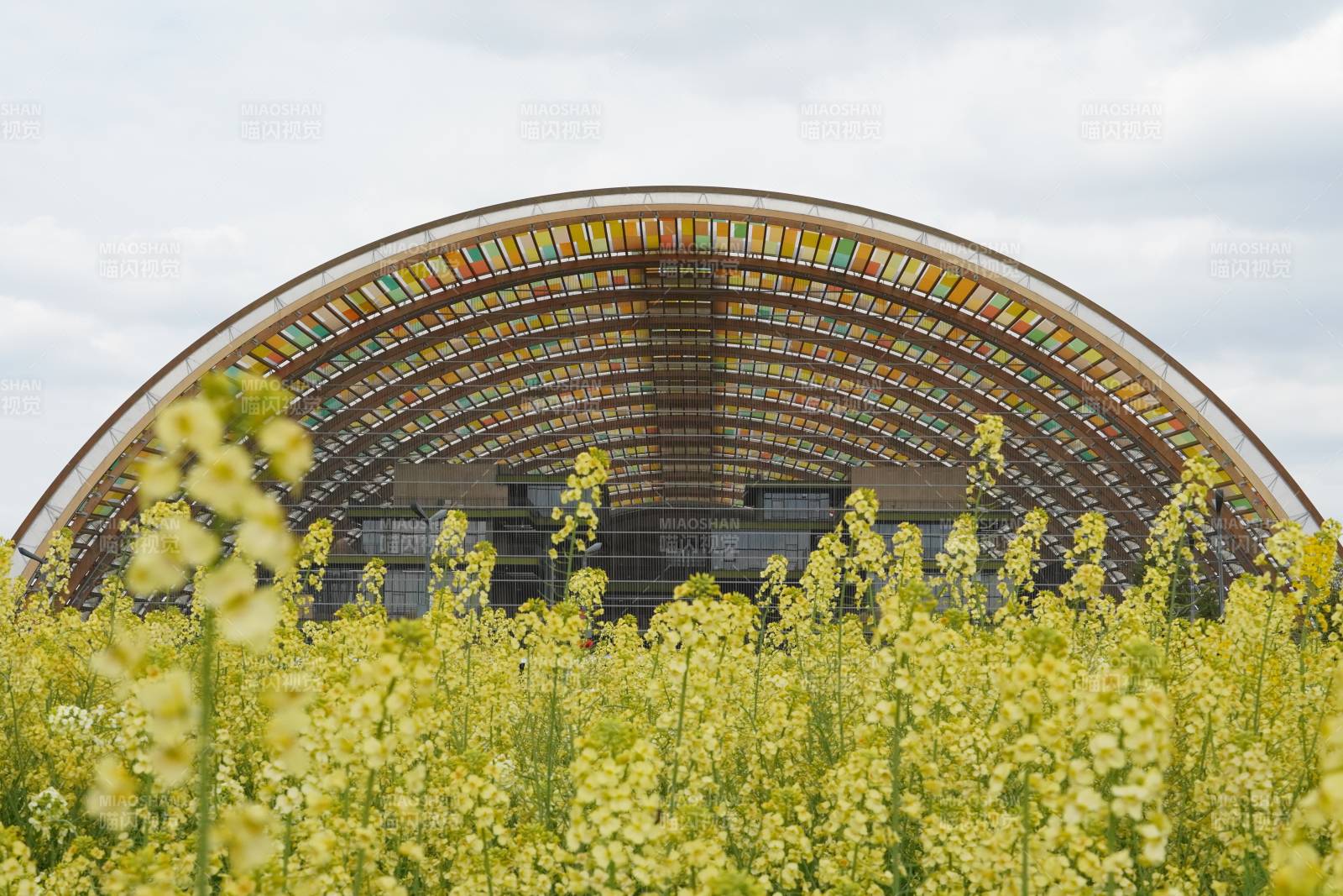 花田拱廊 春日盛景图片