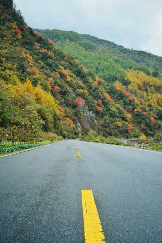 小金县秋色山径 黄线引远方图片