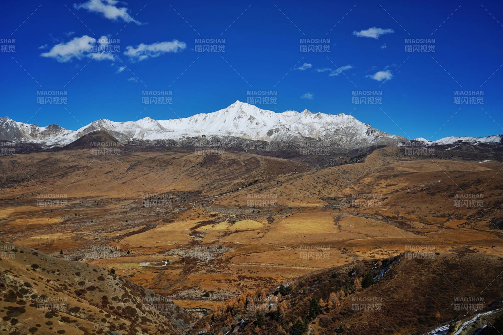青绕神山下的金色高原谷地图片