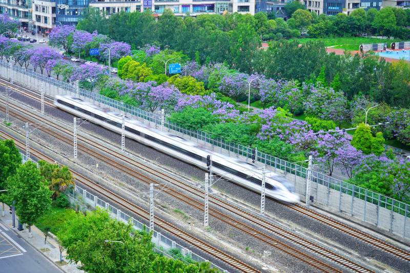 成都高铁穿花城 速影掠春景图片