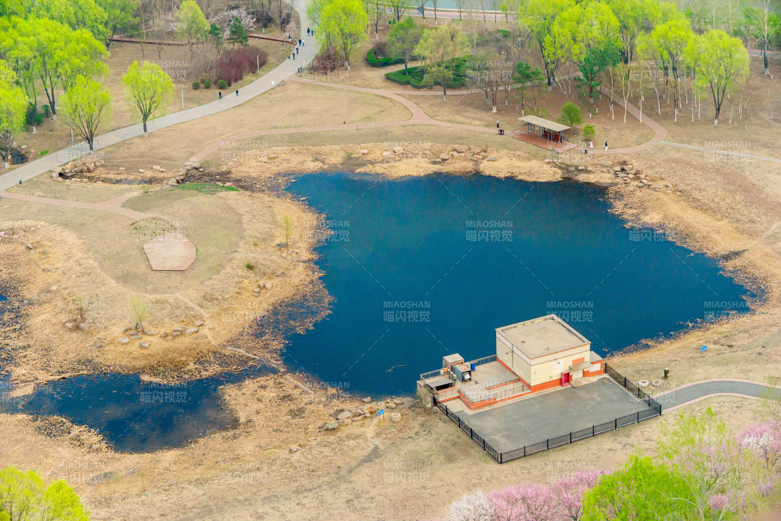 长春樱花岛 绿树环绕小亭台图片