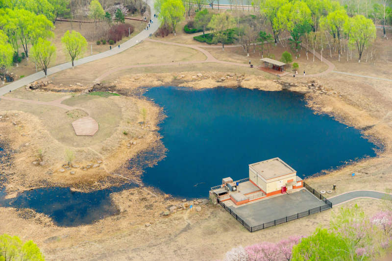 长春樱花岛 绿树环绕小亭台图片