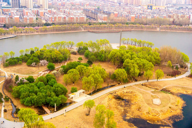 长春城市绿岛 樱花岛公园春景图片