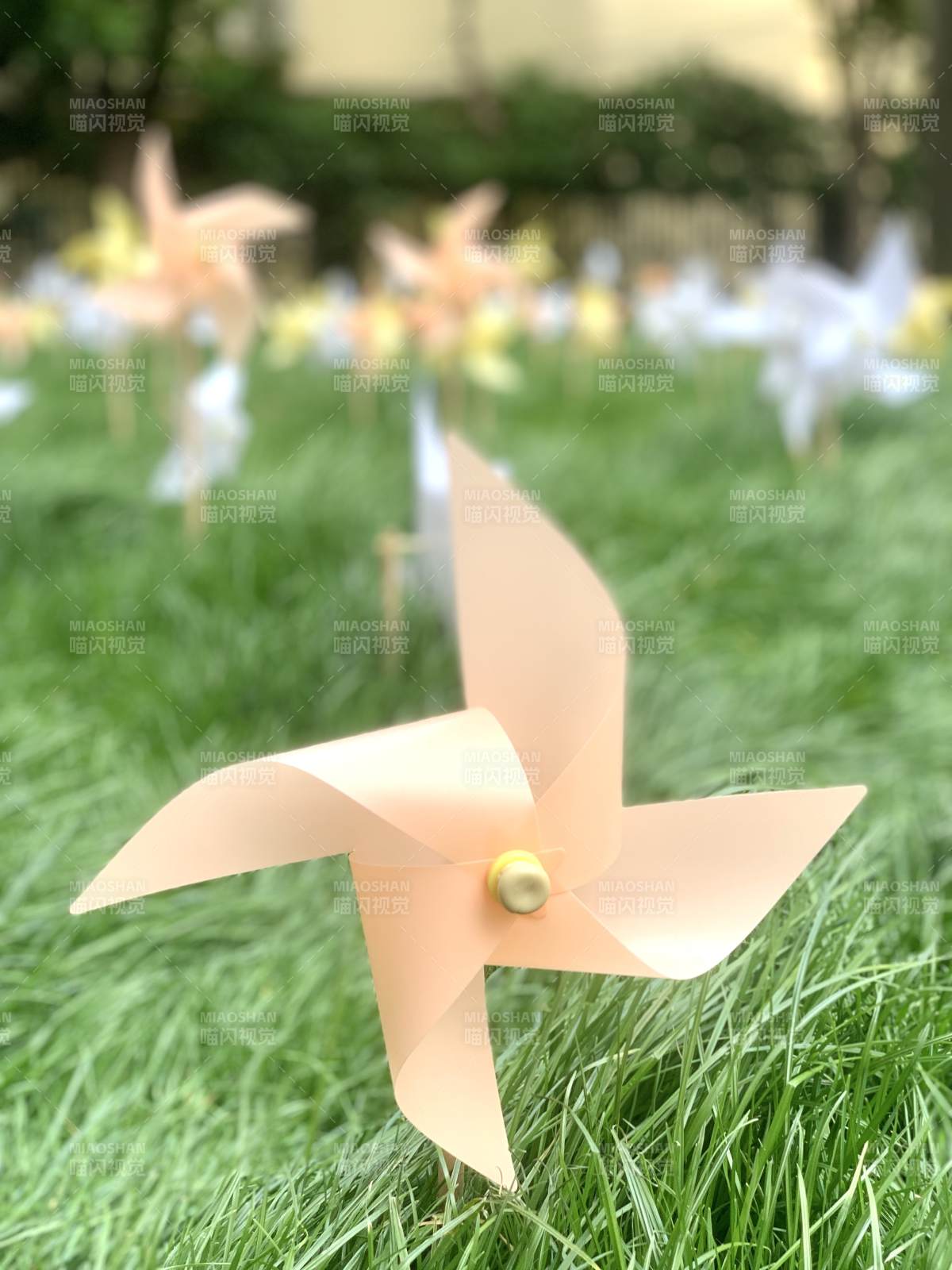 草地上的粉色纸风车图片