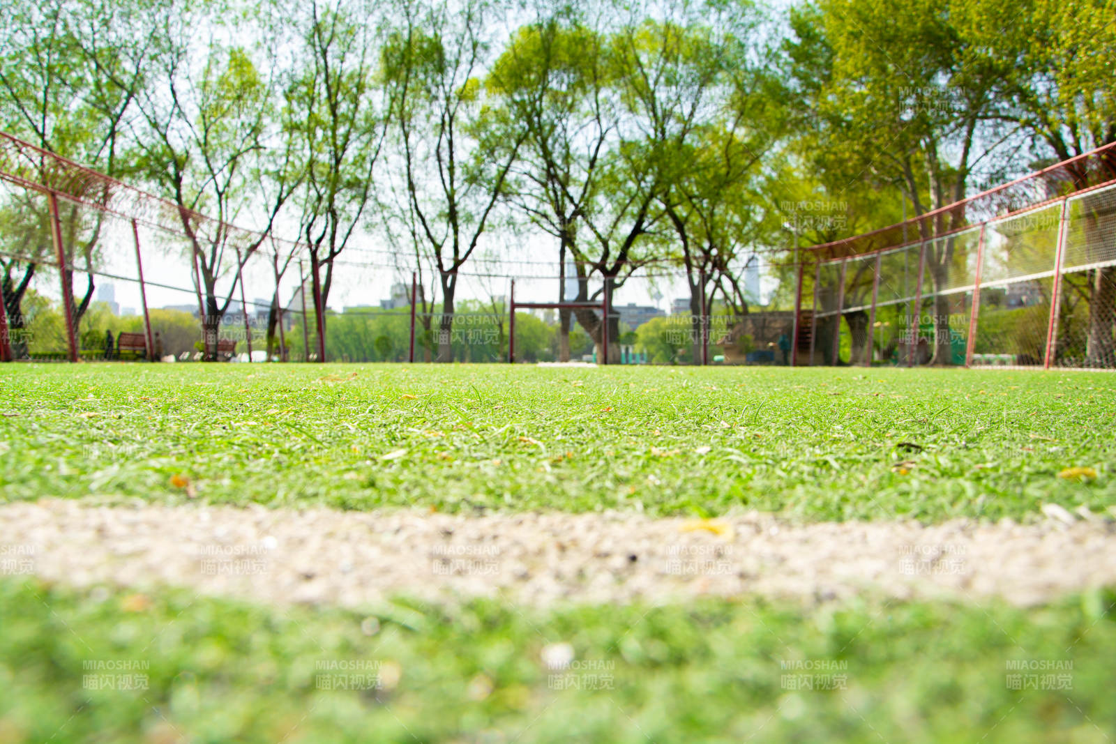 绿茵场旁树影婆娑图片