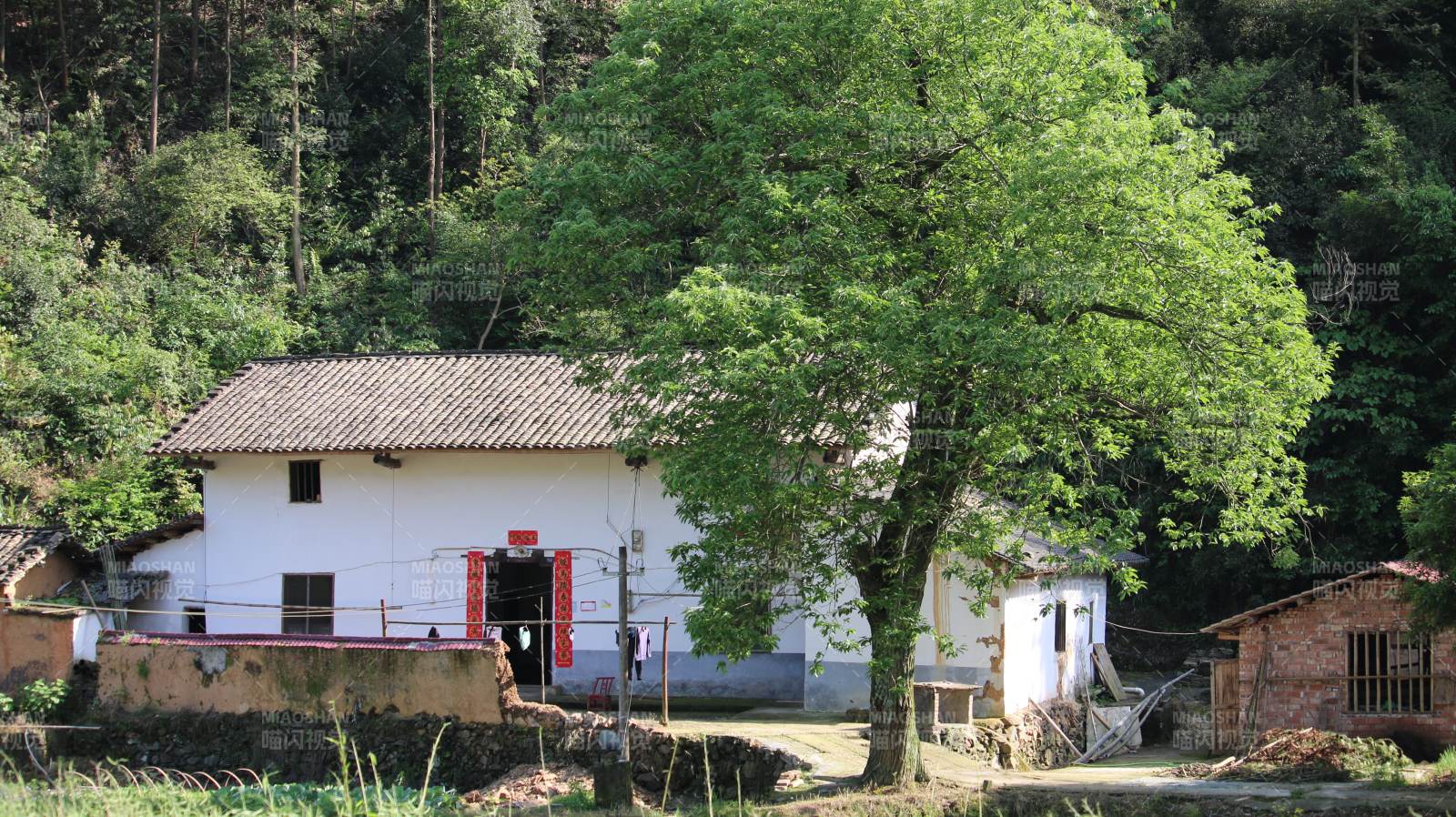 山间白屋绿树掩映图片