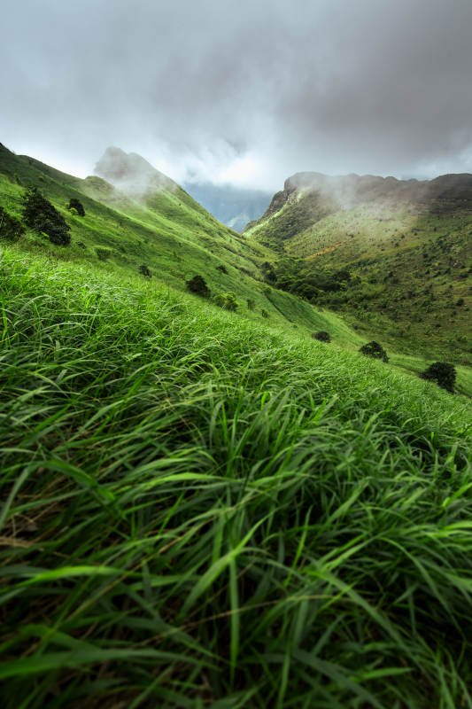 云雾缭绕 绿野仙踪山景图片