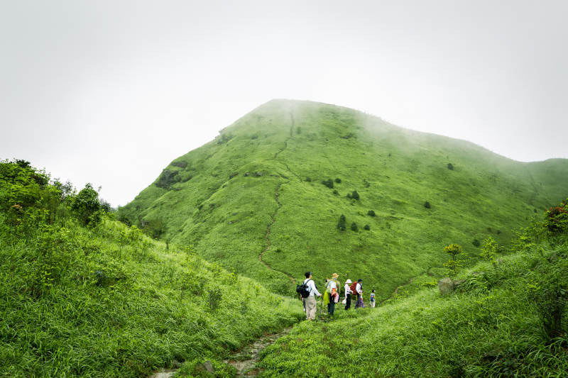 绿山小径 徒步者前行图片