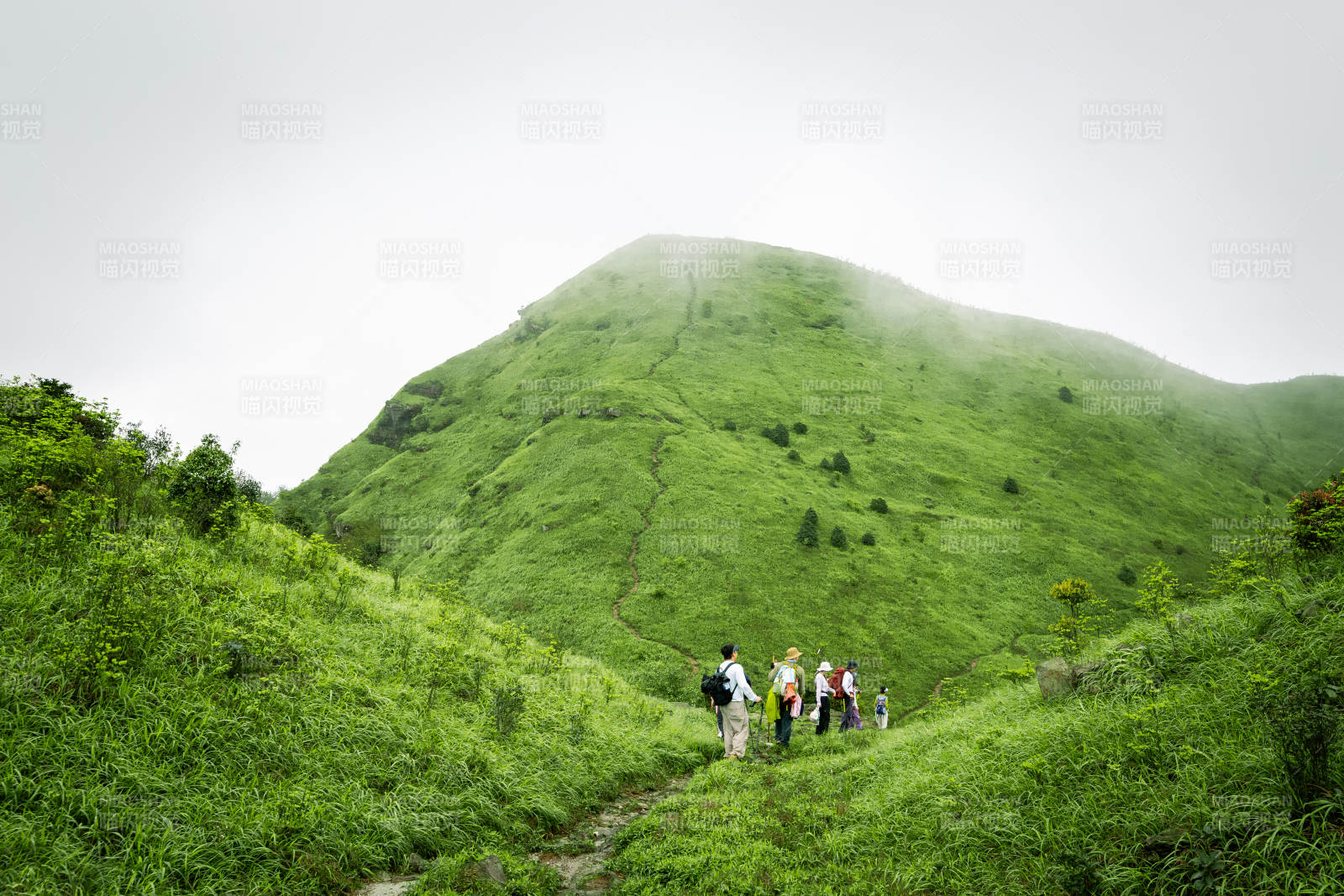 绿山小径 徒步者前行图片