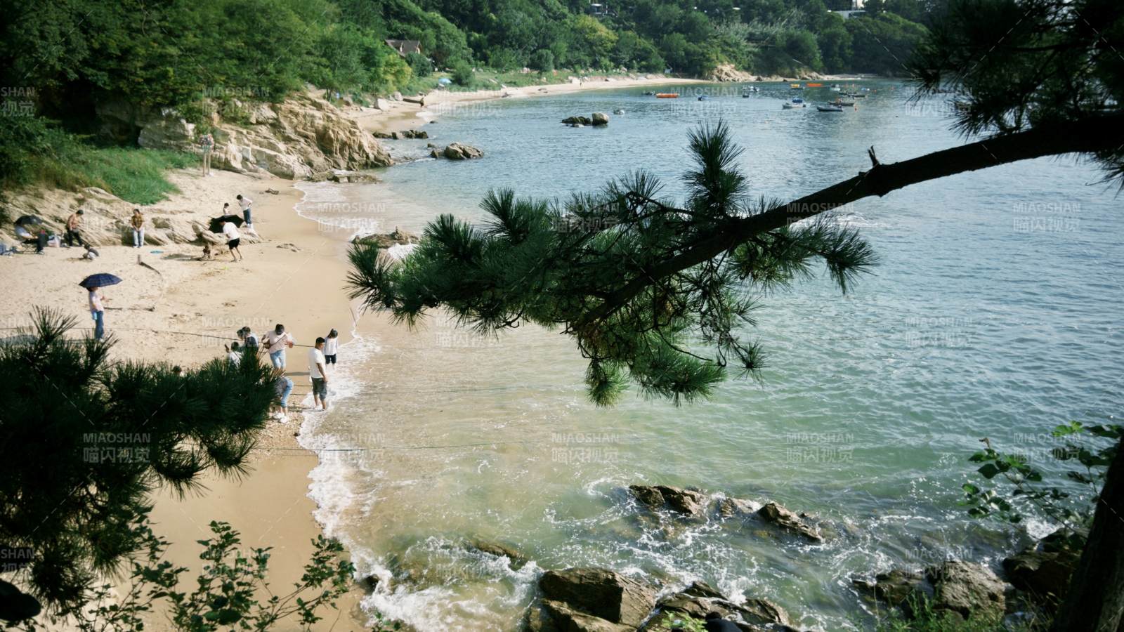 松枝掩映 沙滩游人戏水，威海图片