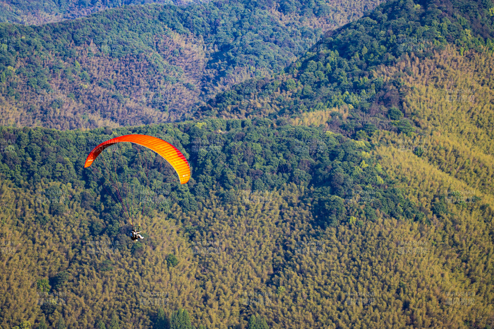 橙翼滑翔伞飞越竹海山峦图片