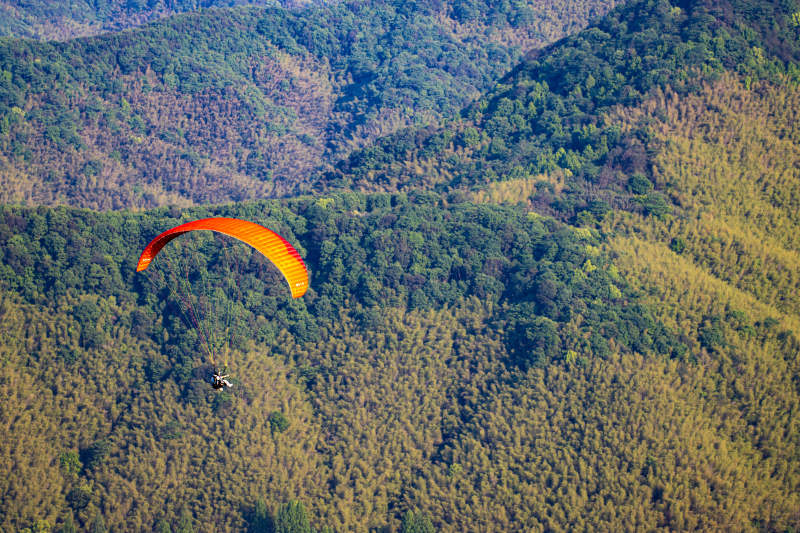橙翼滑翔伞飞越竹海山峦图片