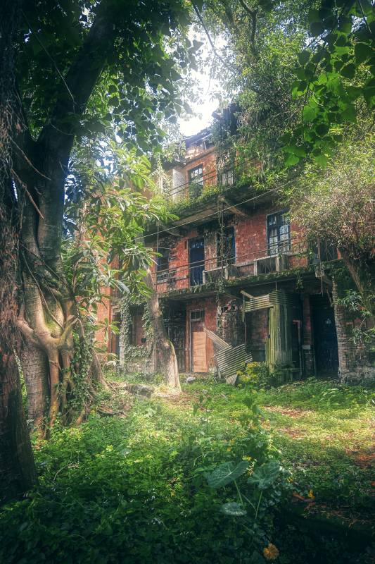 绿野掩映的废弃红砖楼图片