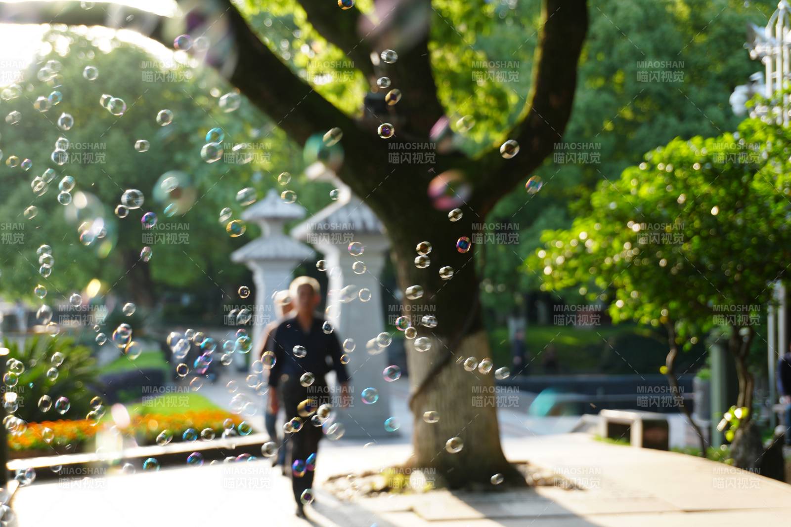 泡泡飞舞 树下行人漫步图片