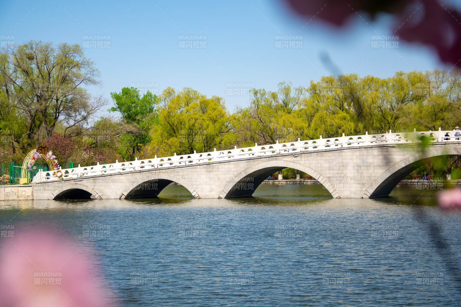 春日拱桥映水 花影婆娑图片