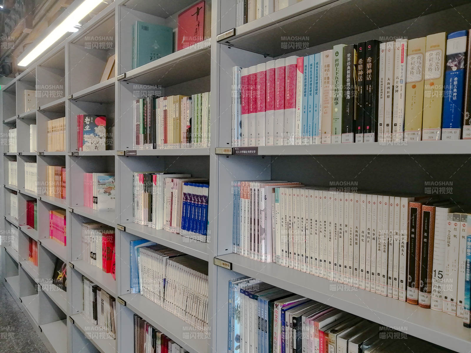 图书馆书架整齐陈列书籍图片