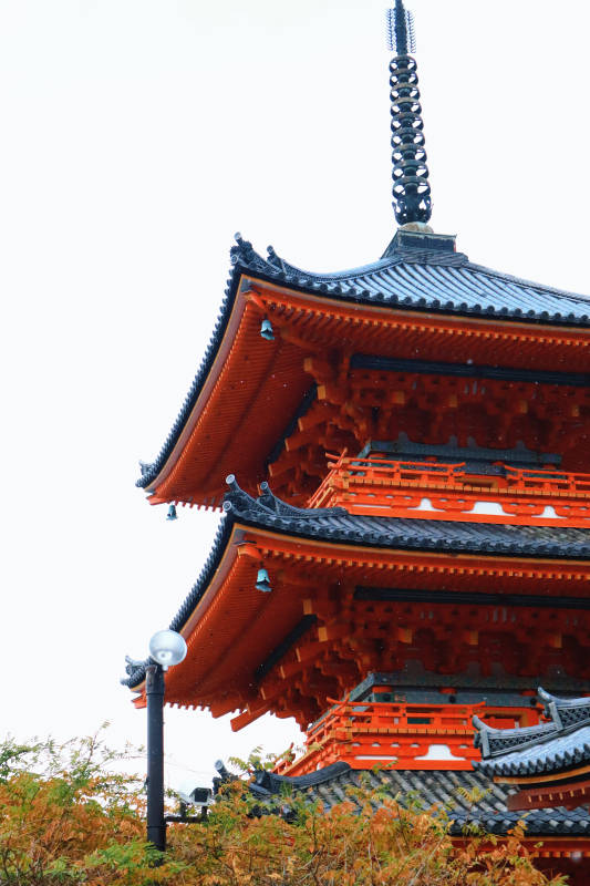 红塔飞檐映秋色图片