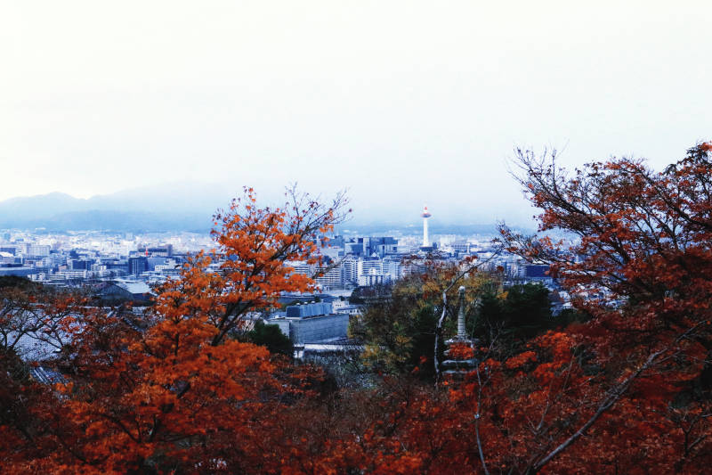 秋叶映城 远塔含烟图片