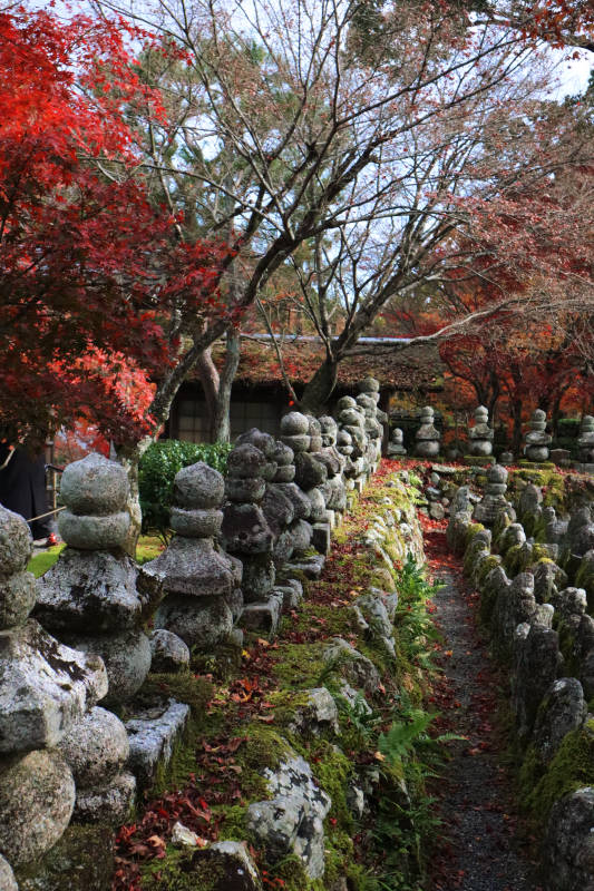 秋日石灯笼小径 红叶满园图片