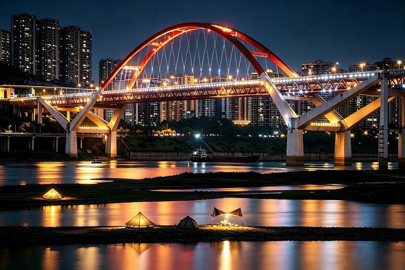 菜园坝大桥下的江滩夜景图片