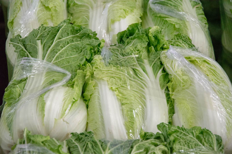 新鲜白菜堆叠待售图片