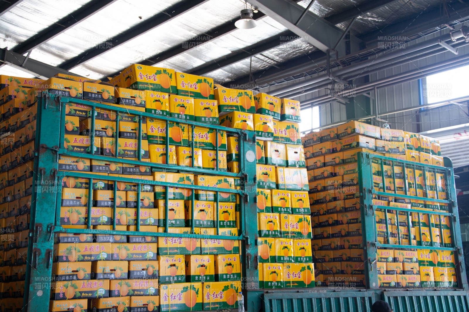 仓库堆满橙箱待运图片