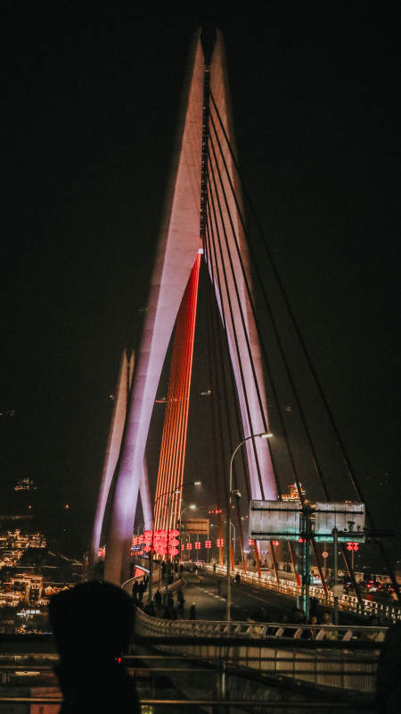 夜光斜拉桥 璀璨如虹图片