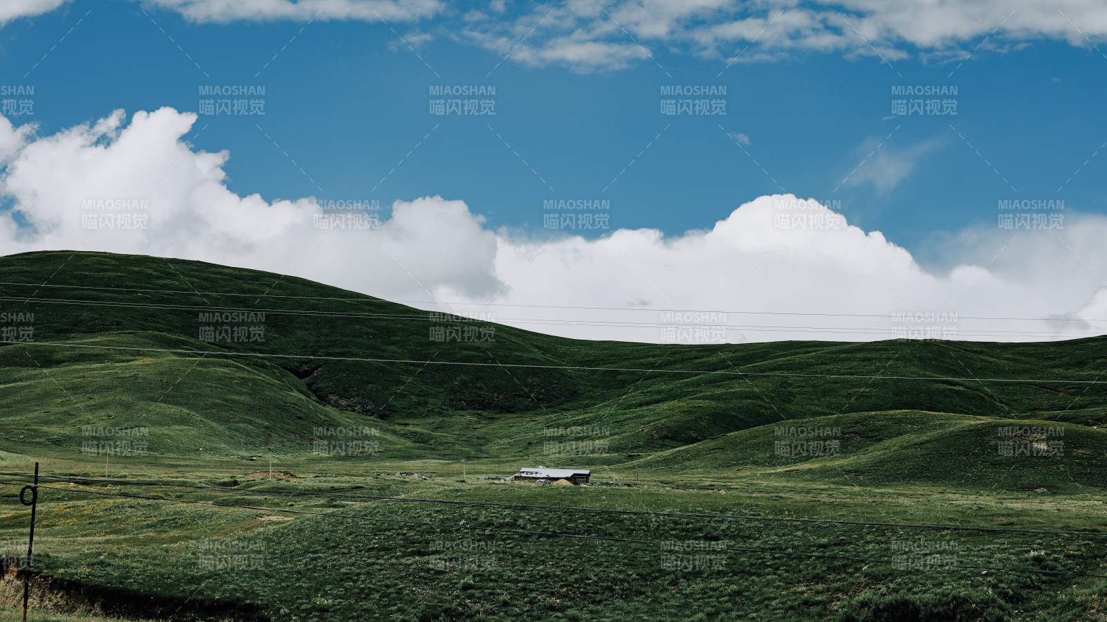 川西绿野云天下 静美草原景图片