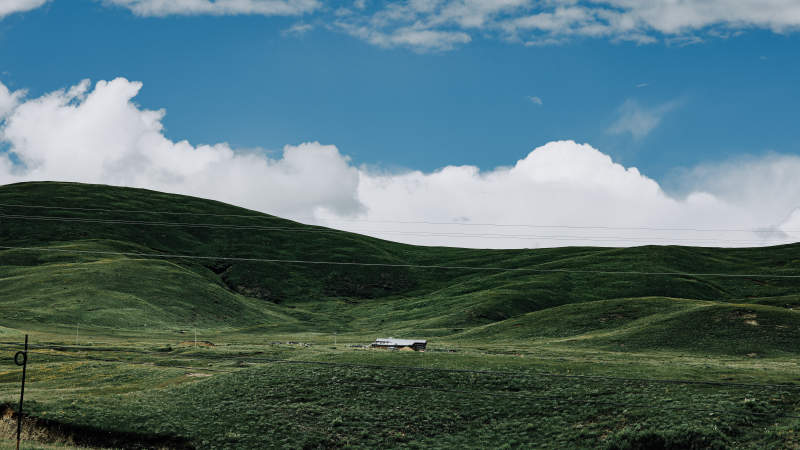 绿野云天下 静美草原景图片