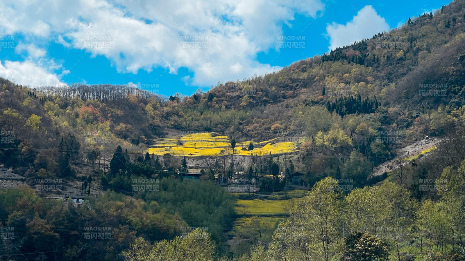 平武秋日山间金黄梯田景图片