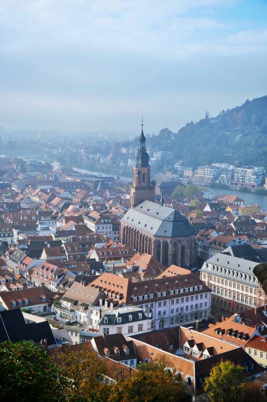 海德堡老城全貌图片