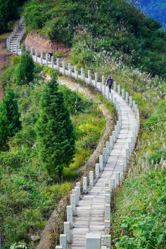 山间石阶蜿蜒 行人缓步上行图片