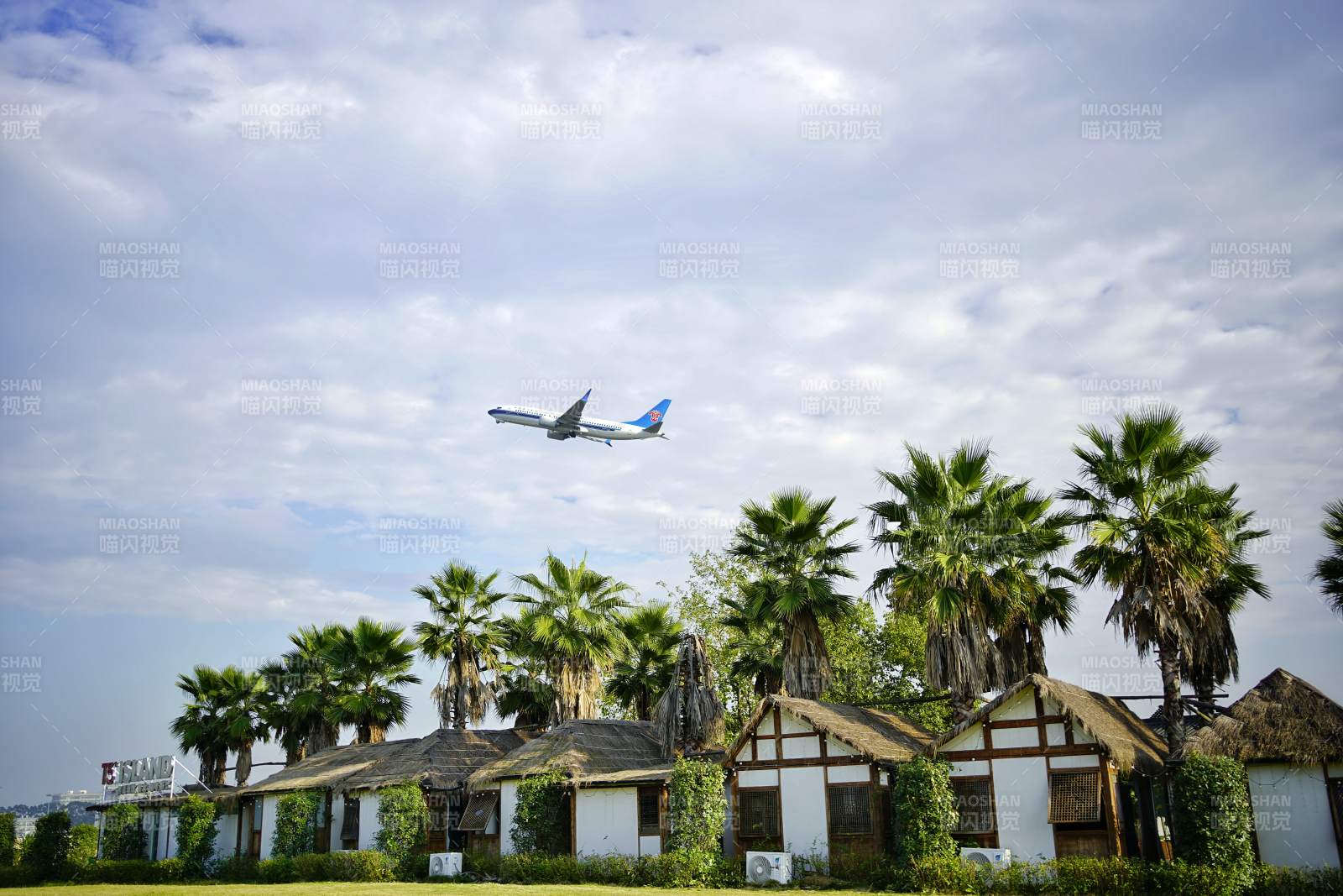 飞机掠过棕榈屋上空图片