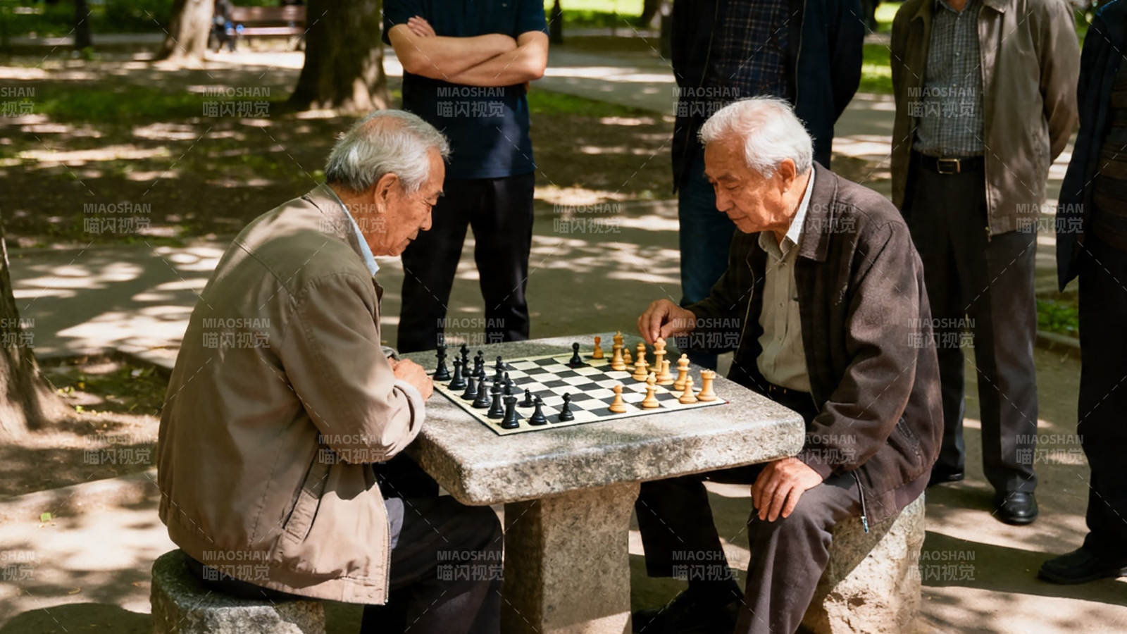 公园对弈 老友棋局图片