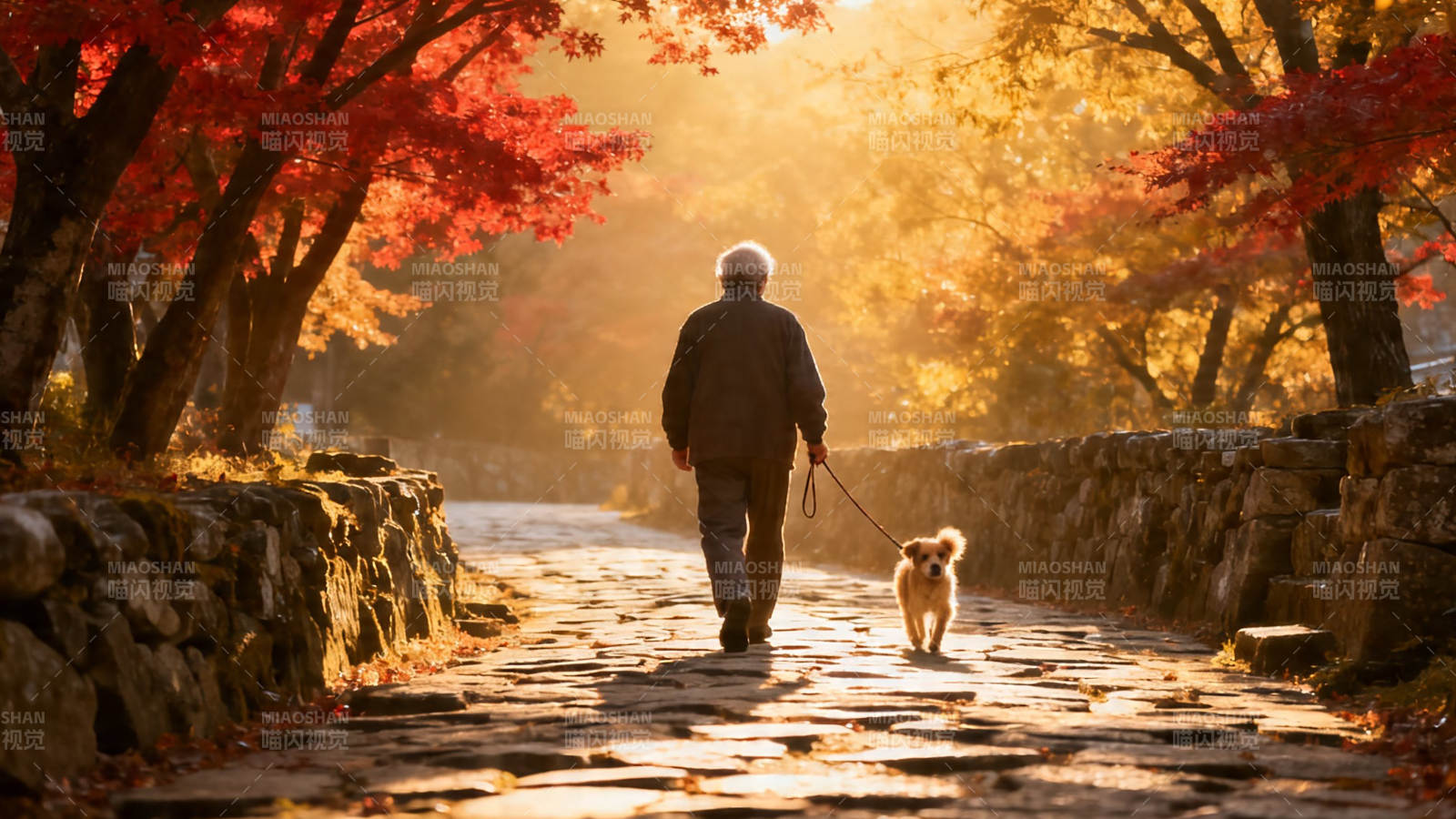秋日暖阳 一人一犬漫步石径图片