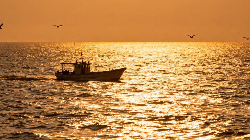 夕阳渔船归航图图片