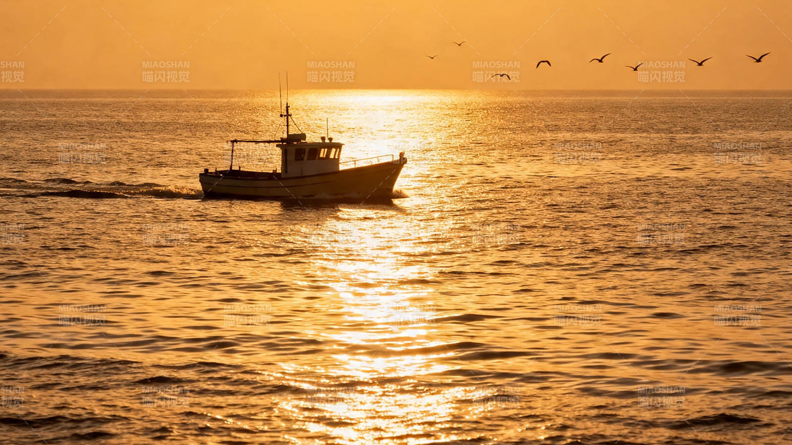 夕阳渔船归航 群鸟伴飞图片
